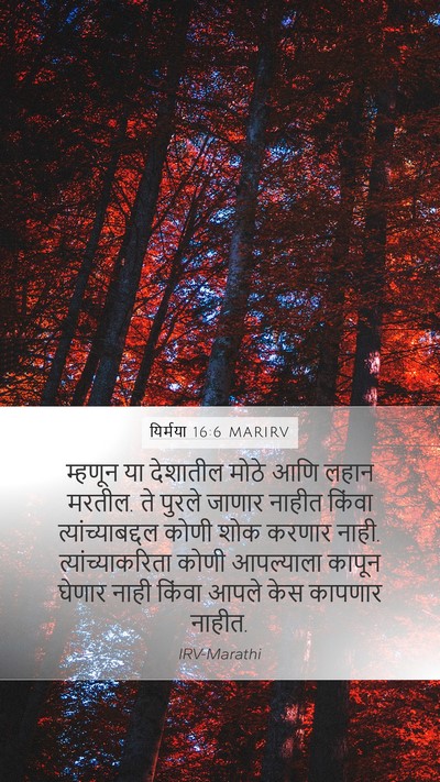 यिर्मया 16:6 MARIRV Bible Verse Image