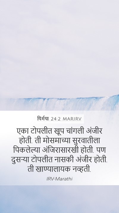 यिर्मया 24:2 MARIRV Bible Verse Image