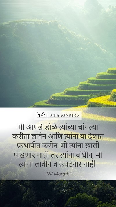 यिर्मया 24:6 MARIRV Bible Verse Image