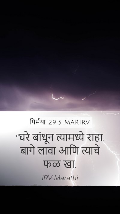 यिर्मया 29:5 MARIRV Bible Verse Image