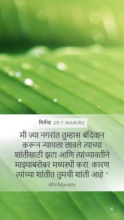 यिर्मया 29:7 MARIRV Bible Verse Image