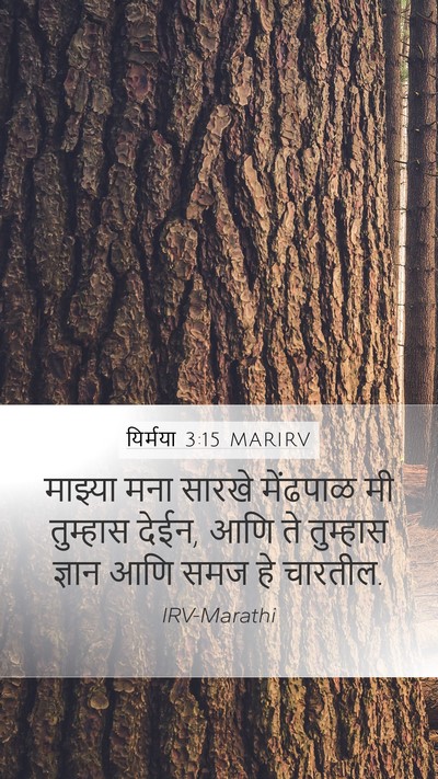 यिर्मया 3:15 MARIRV Bible Verse Image