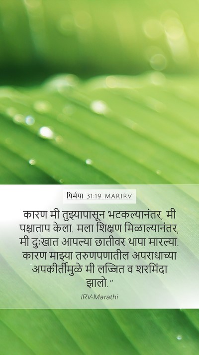 यिर्मया 31:19 MARIRV Bible Verse Image