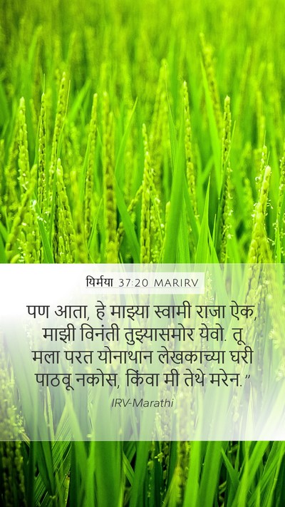 यिर्मया 37:20 MARIRV Bible Verse Image