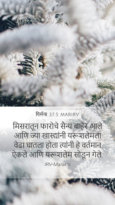 यिर्मया 37:5 MARIRV Bible Verse Image