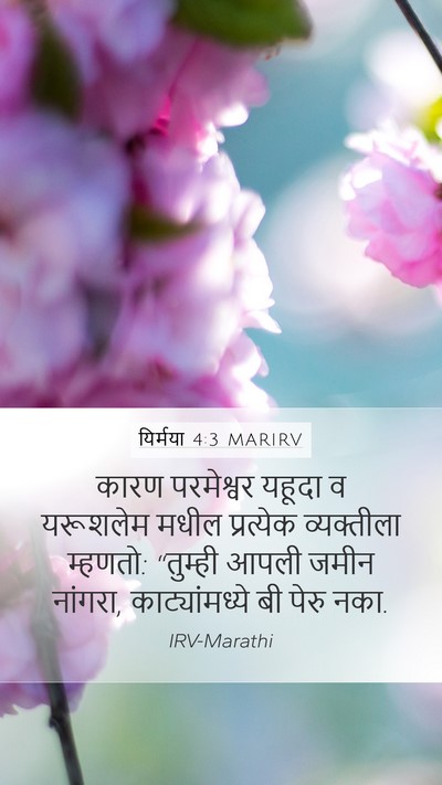 यिर्मया 4:3 MARIRV Bible Verse Image