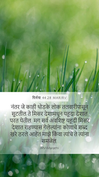यिर्मया 44:28 MARIRV Bible Verse Image