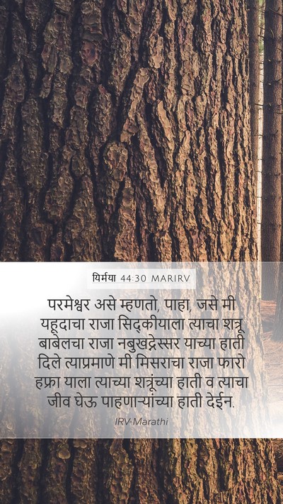यिर्मया 44:30 MARIRV Bible Verse Image