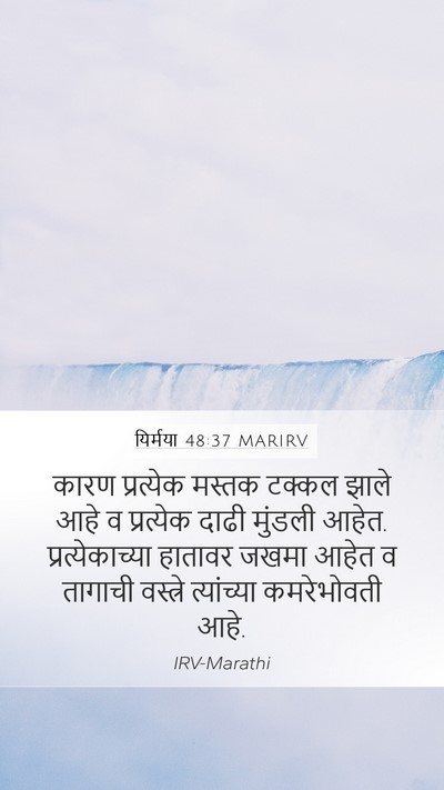 यिर्मया 48:37 MARIRV Bible Verse Image