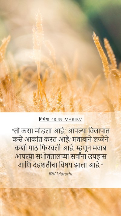 यिर्मया 48:39 MARIRV Bible Verse Image
