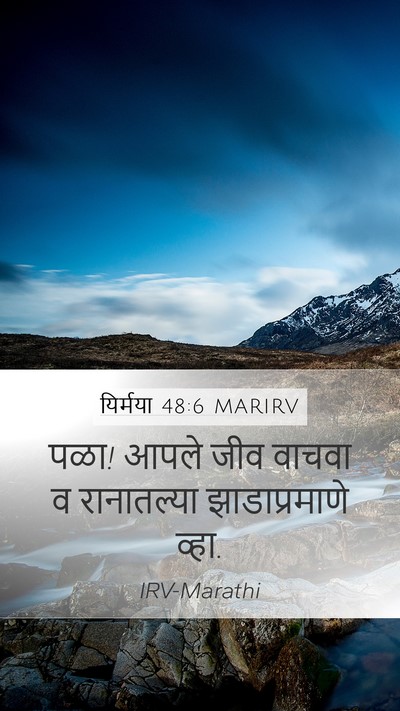 यिर्मया 48:6 MARIRV Bible Verse Image