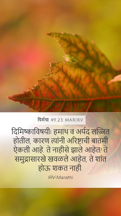यिर्मया 49:23 MARIRV Bible Verse Image