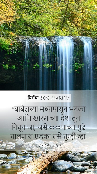 यिर्मया 50:8 MARIRV Bible Verse Image