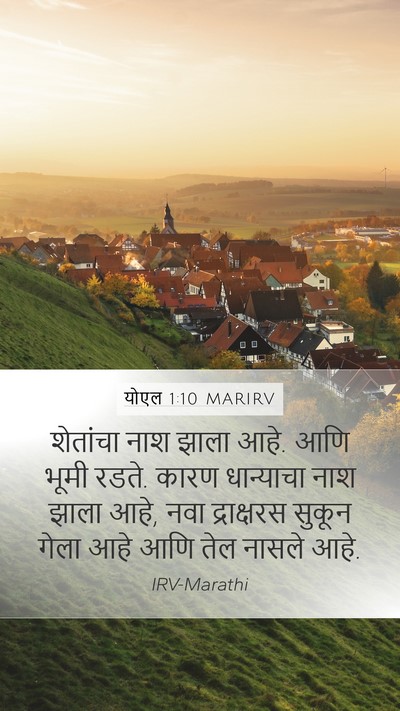 योएल 1:10 MARIRV Bible Verse Image