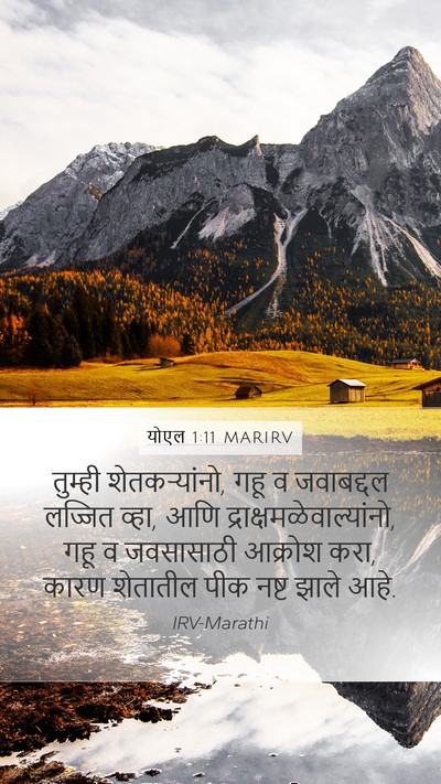 योएल 1:11 MARIRV Bible Verse Image