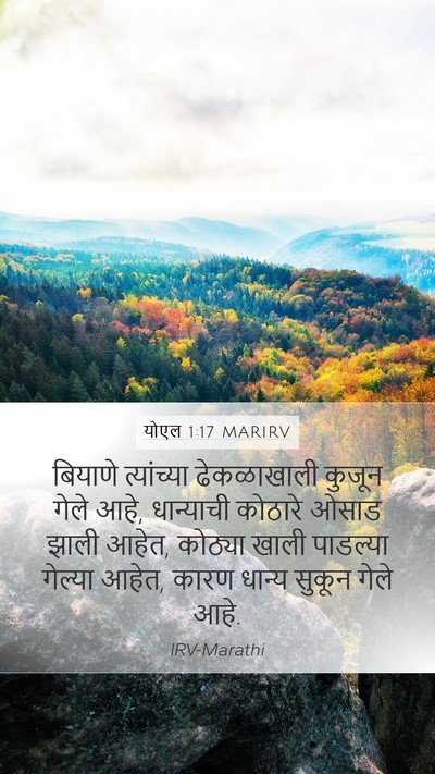 योएल 1:17 MARIRV Bible Verse Image