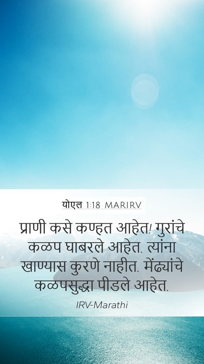 योएल 1:18 MARIRV Bible Verse Image
