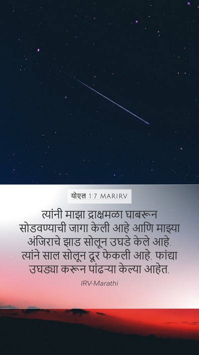 योएल 1:7 MARIRV Bible Verse Image