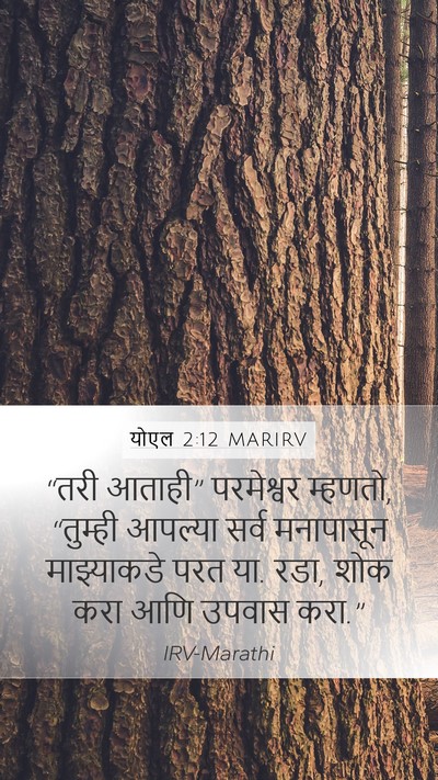 योएल 2:12 MARIRV Bible Verse Image