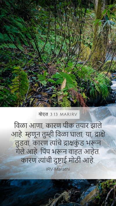 योएल 3:13 MARIRV Bible Verse Image