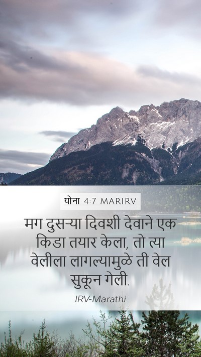 योना 4:7 MARIRV Bible Verse Image