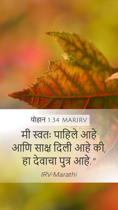 योहान 1:34 MARIRV Bible Verse Image