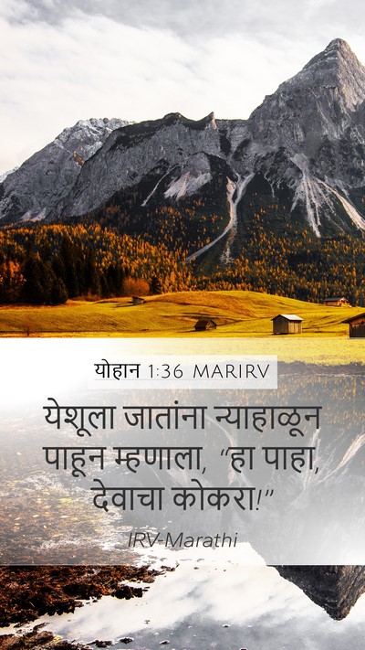 योहान 1:36 MARIRV Bible Verse Image