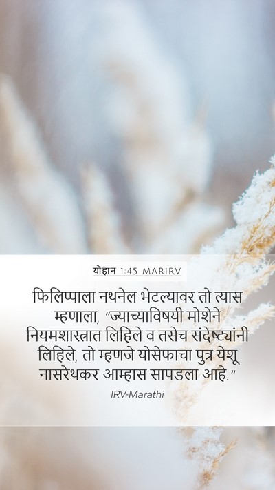 योहान 1:45 MARIRV Bible Verse Image