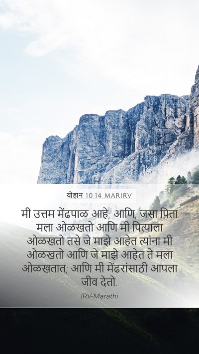 योहान 10:14 MARIRV Bible Verse Image