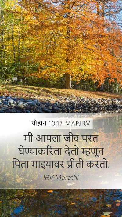 योहान 10:17 MARIRV Bible Verse Image