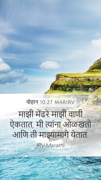 योहान 10:27 MARIRV Bible Verse Image