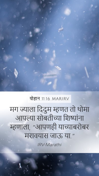 योहान 11:16 MARIRV Bible Verse Image