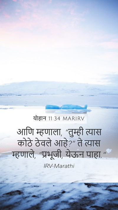 योहान 11:34 MARIRV Bible Verse Image