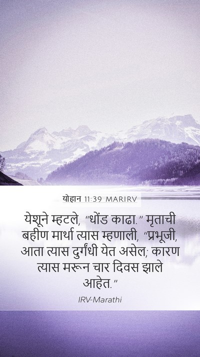 योहान 11:39 MARIRV Bible Verse Image