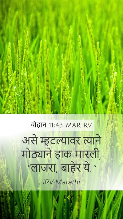 योहान 11:43 MARIRV Bible Verse Image