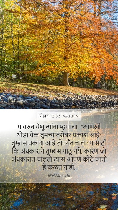 योहान 12:35 MARIRV Bible Verse Image