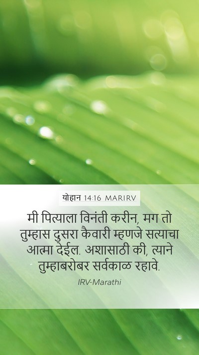 योहान 14:16 MARIRV Bible Verse Image