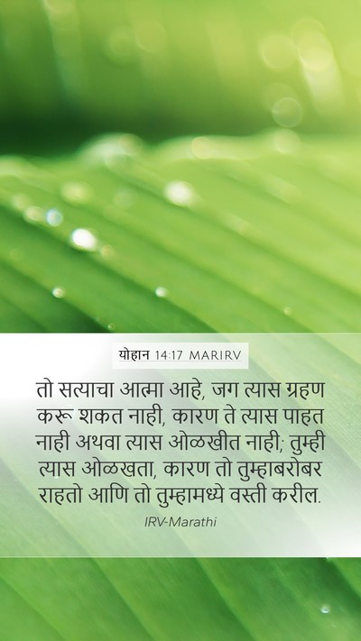 योहान 14:17 MARIRV Bible Verse Image