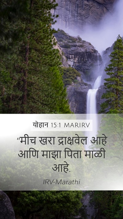 योहान 15:1 MARIRV Bible Verse Image
