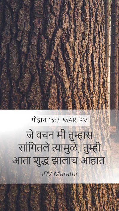 योहान 15:3 MARIRV Bible Verse Image
