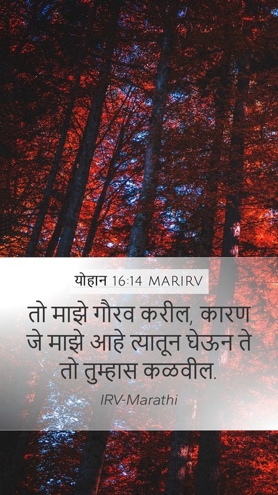 योहान 16:14 MARIRV Bible Verse Image