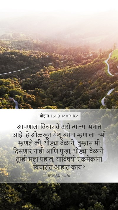 योहान 16:19 MARIRV Bible Verse Image