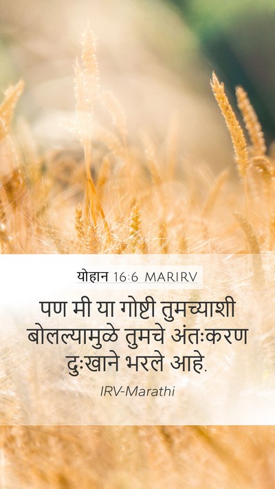 योहान 16:6 MARIRV Bible Verse Image