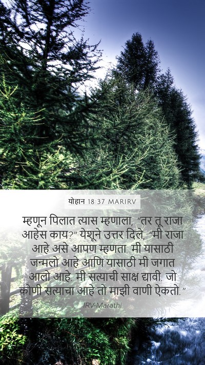 योहान 18:37 MARIRV Bible Verse Image