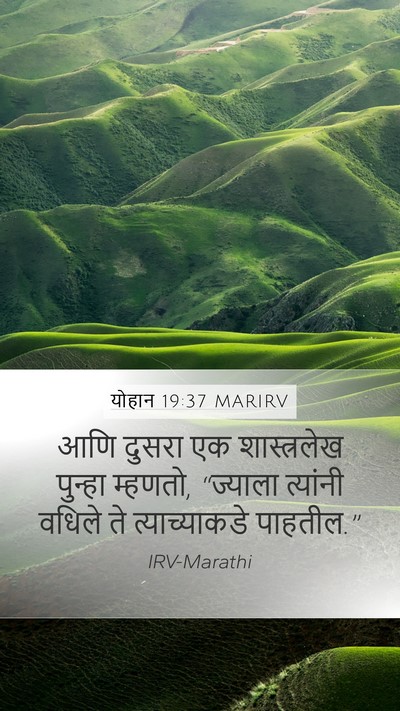 योहान 19:37 MARIRV Bible Verse Image