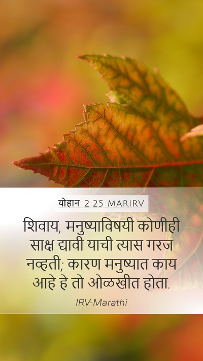 योहान 2:25 MARIRV Bible Verse Image