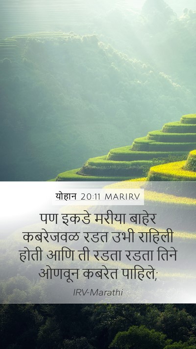 योहान 20:11 MARIRV Bible Verse Image