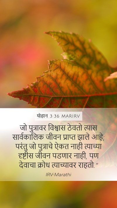 योहान 3:36 MARIRV Bible Verse Image