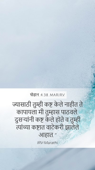 योहान 4:38 MARIRV Bible Verse Image