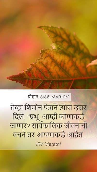 योहान 6:68 MARIRV Bible Verse Image
